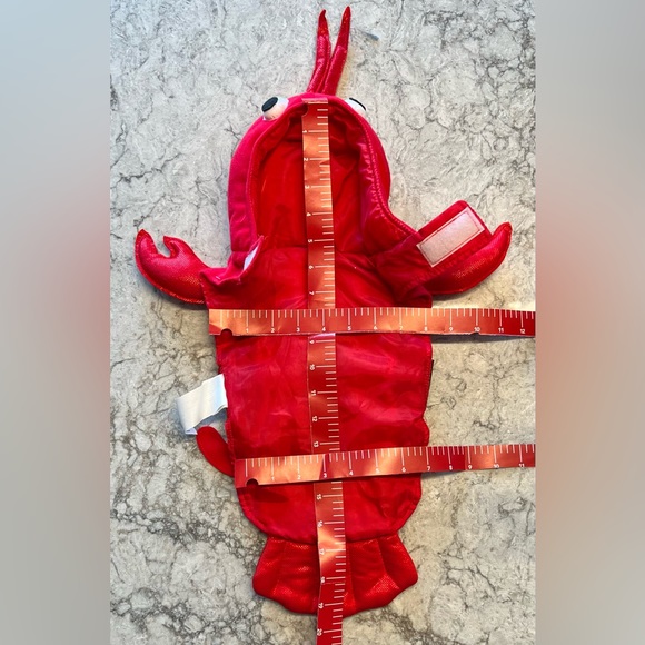 Lobster Pet Costume - Picture 7 of 8